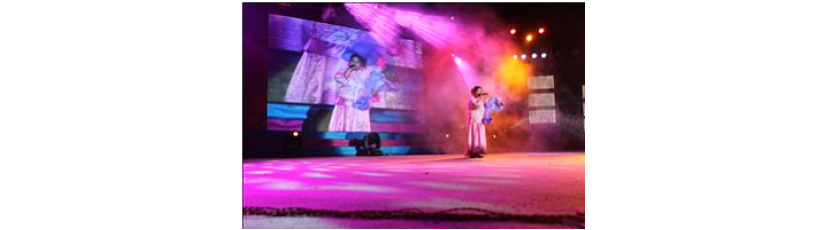 The 2010 Spring Festival Soiree of Highpower finished successfully The 2010 Spring Festival Soiree of Highpower finished successfully