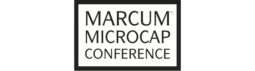 Highpower International to Present at the 2017 Marcum Microcap Conference Highpower International to Present at the 2017 Marcum Microcap Conference